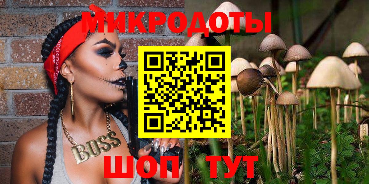 Златоуст  Псилоцибиновые грибы мицелий  Вход с VPN 